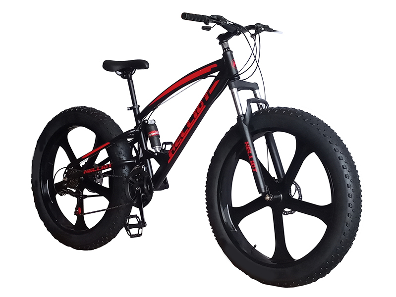 Fat store bike helliot